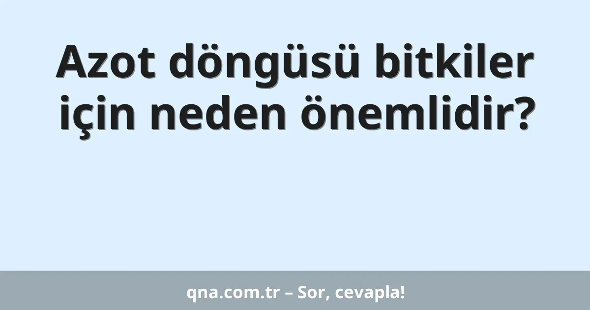 Azot döngüsü bitkiler için neden önemlidir?