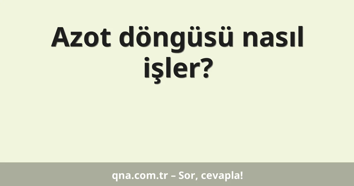 Azot döngüsü nasıl işler?