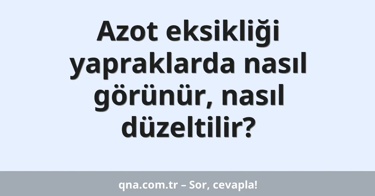 Azot eksikliği yapraklarda nasıl görünür, nasıl düzeltilir?