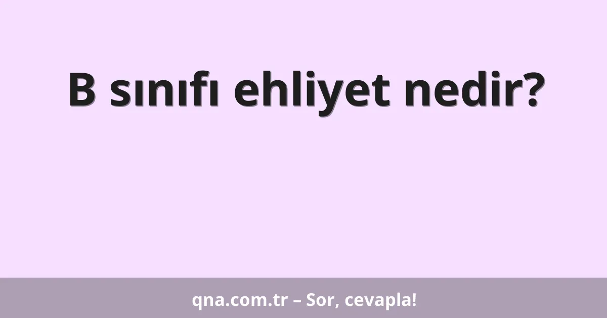 B sınıfı ehliyet nedir?