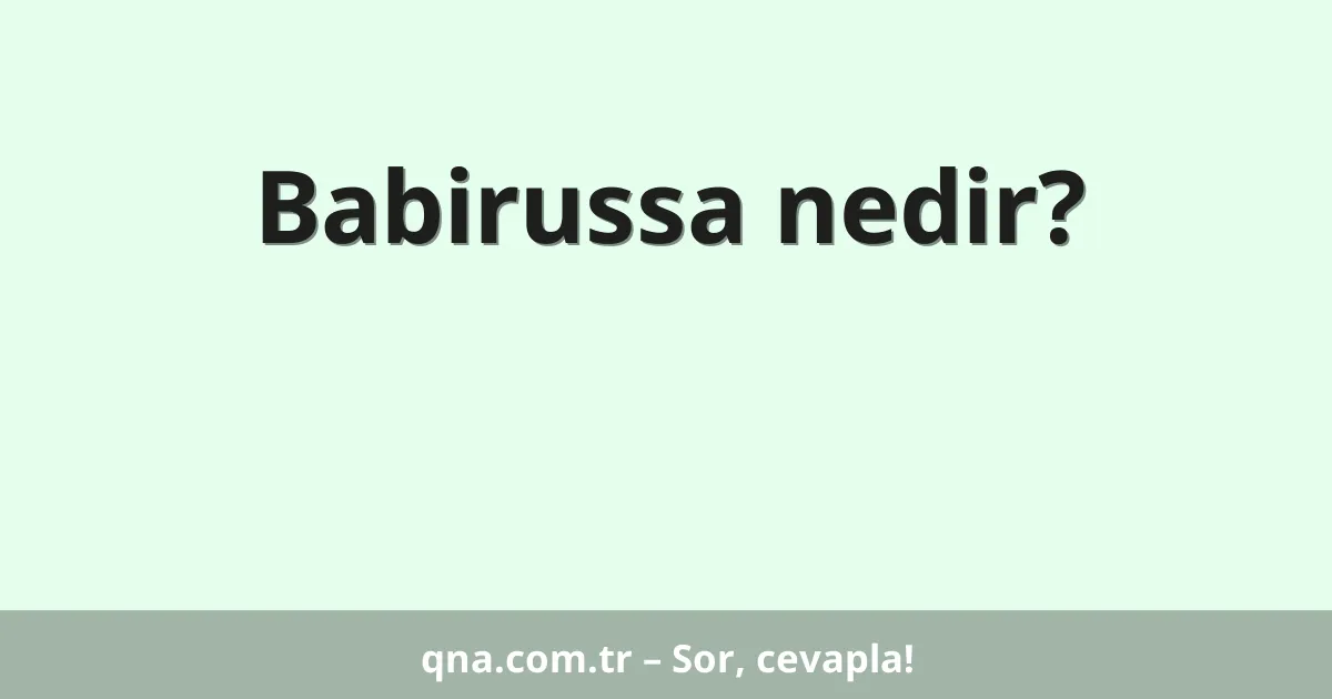 Babirussa nedir?