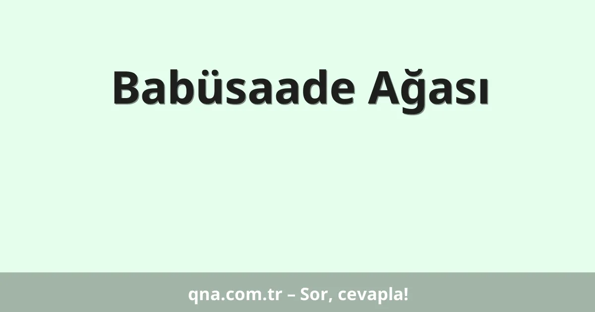Babüsaade Ağası
