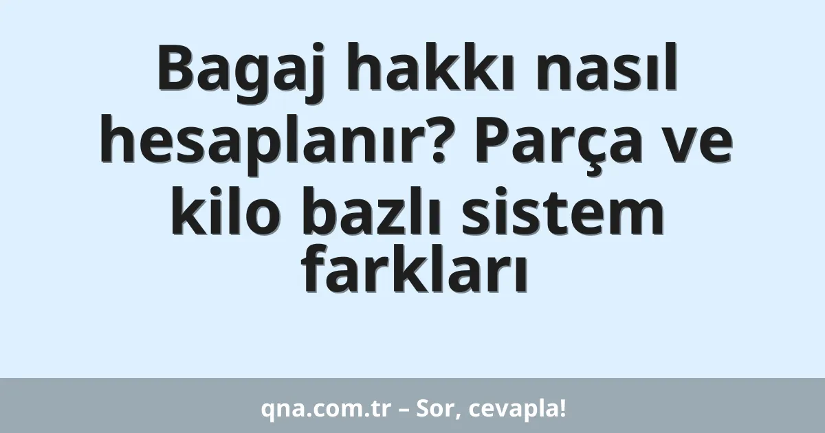 Bagaj hakkı nasıl hesaplanır? Parça ve kilo bazlı sistem farkları