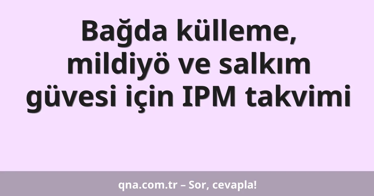 Bağda külleme, mildiyö ve salkım güvesi için IPM takvimi