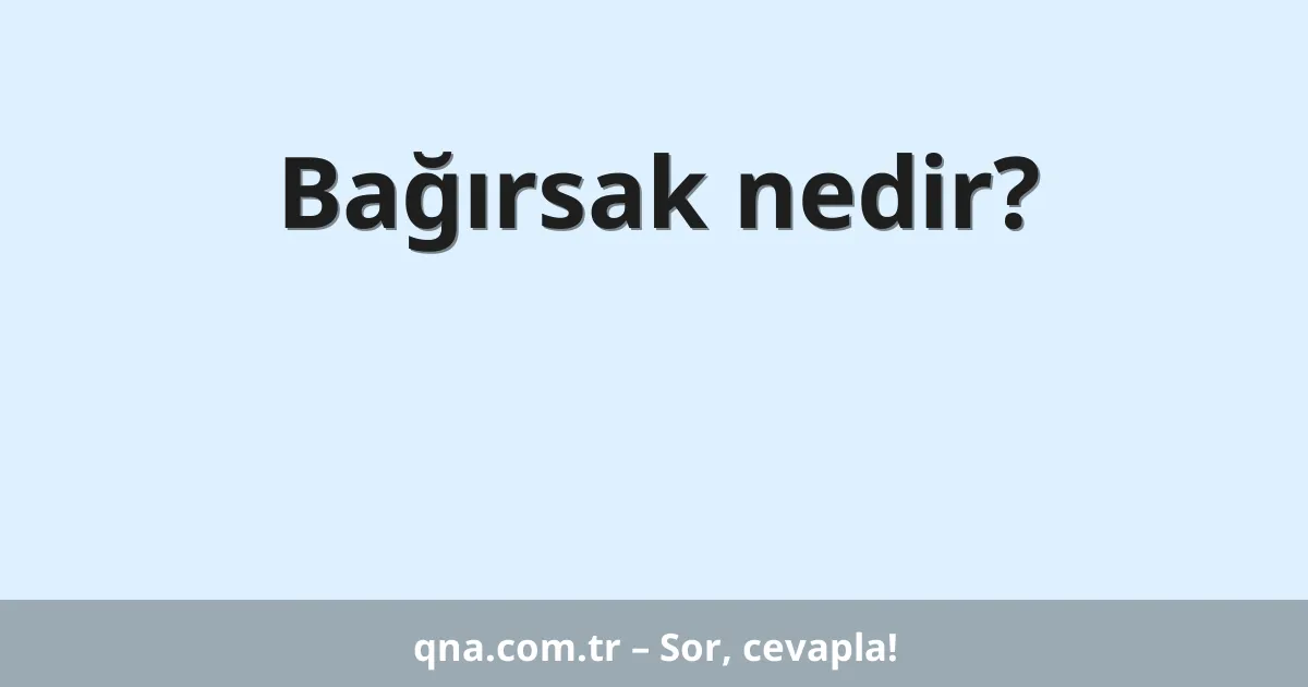 Bağırsak nedir?
