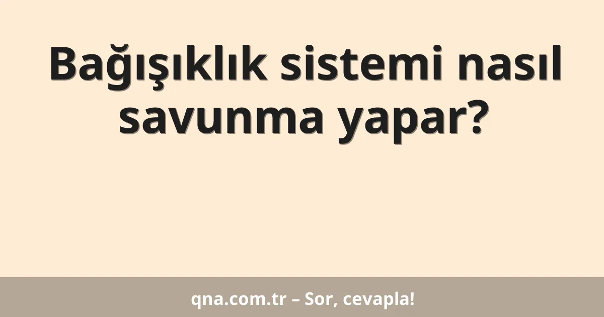 Bağışıklık sistemi nasıl savunma yapar?