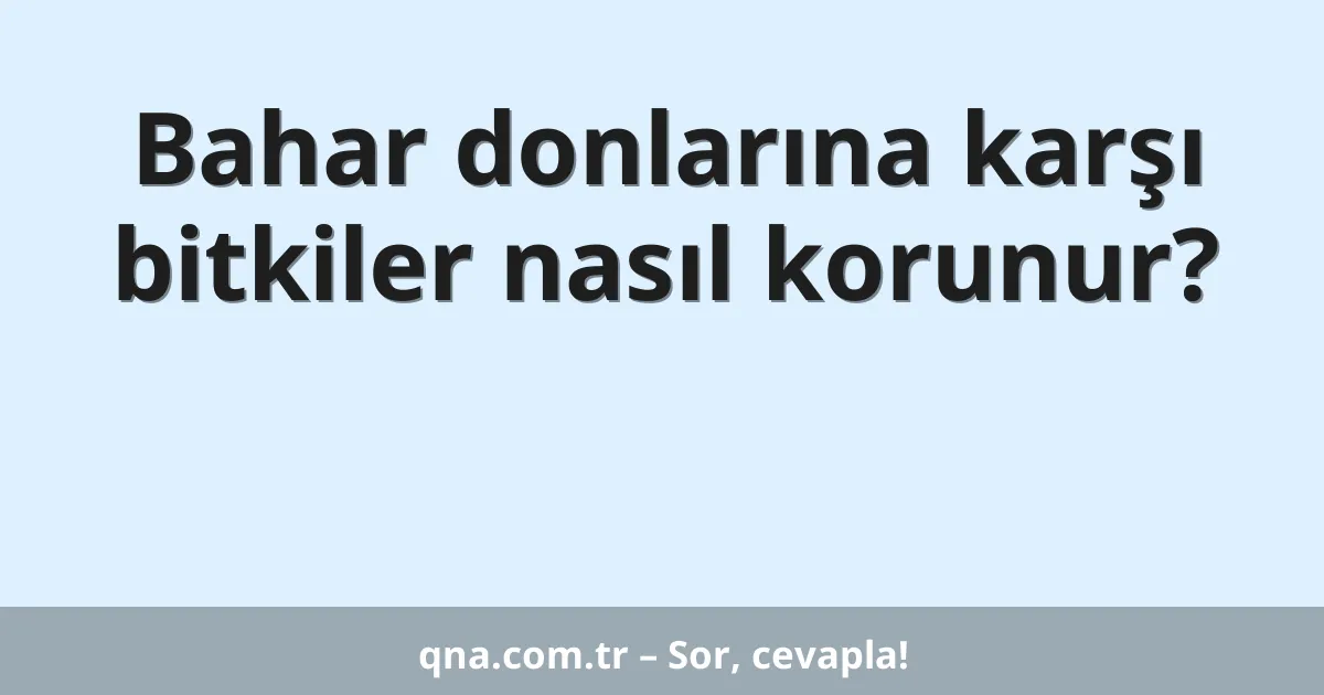 Bahar donlarına karşı bitkiler nasıl korunur?