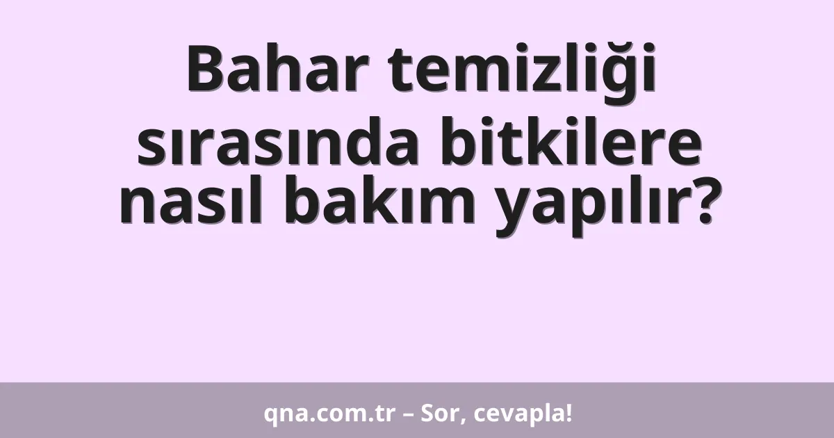 Bahar temizliği sırasında bitkilere nasıl bakım yapılır?