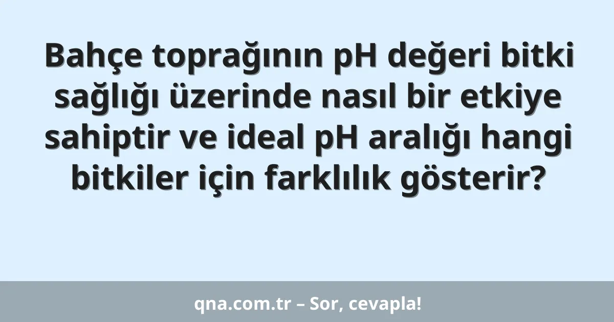 Bahçe toprağının pH değeri bitki sağlığı üzerinde nasıl bir etkiye sahiptir ve ideal pH aralığı hangi bitkiler için farklılık gösterir?