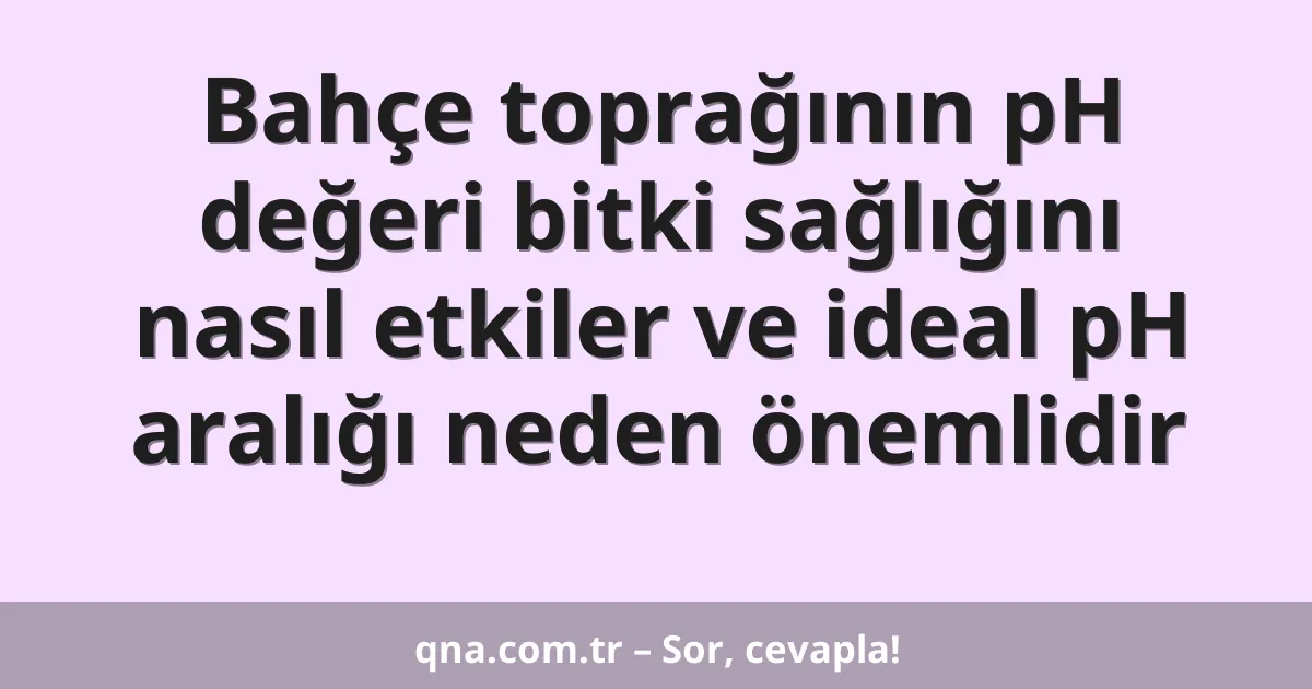 Bahçe toprağının pH değeri bitki sağlığını nasıl etkiler ve ideal pH aralığı neden önemlidir