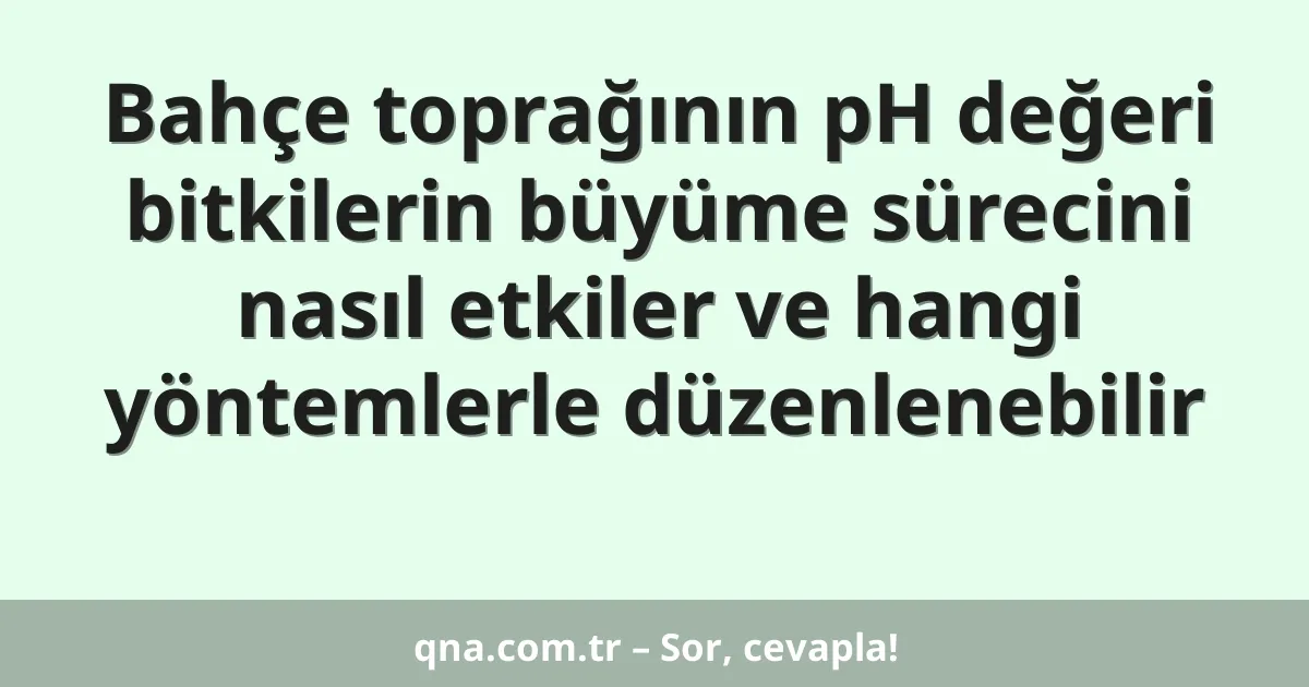 Bahçe toprağının pH değeri bitkilerin büyüme sürecini nasıl etkiler ve hangi yöntemlerle düzenlenebilir