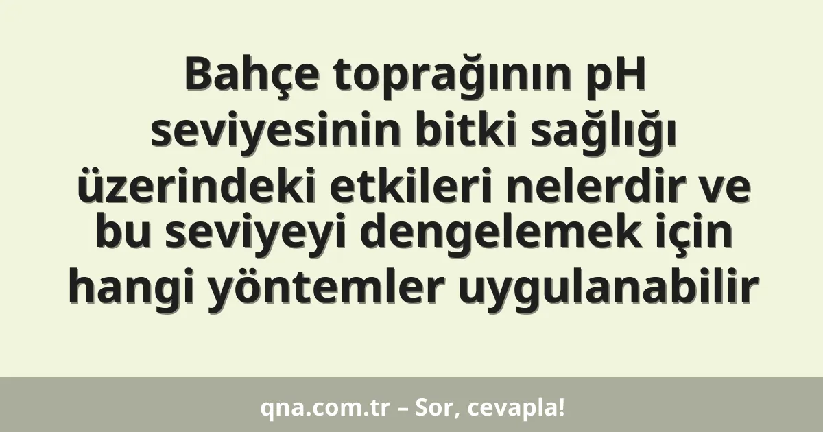 Bahçe toprağının pH seviyesinin bitki sağlığı üzerindeki etkileri nelerdir ve bu seviyeyi dengelemek için hangi yöntemler uygulanabilir