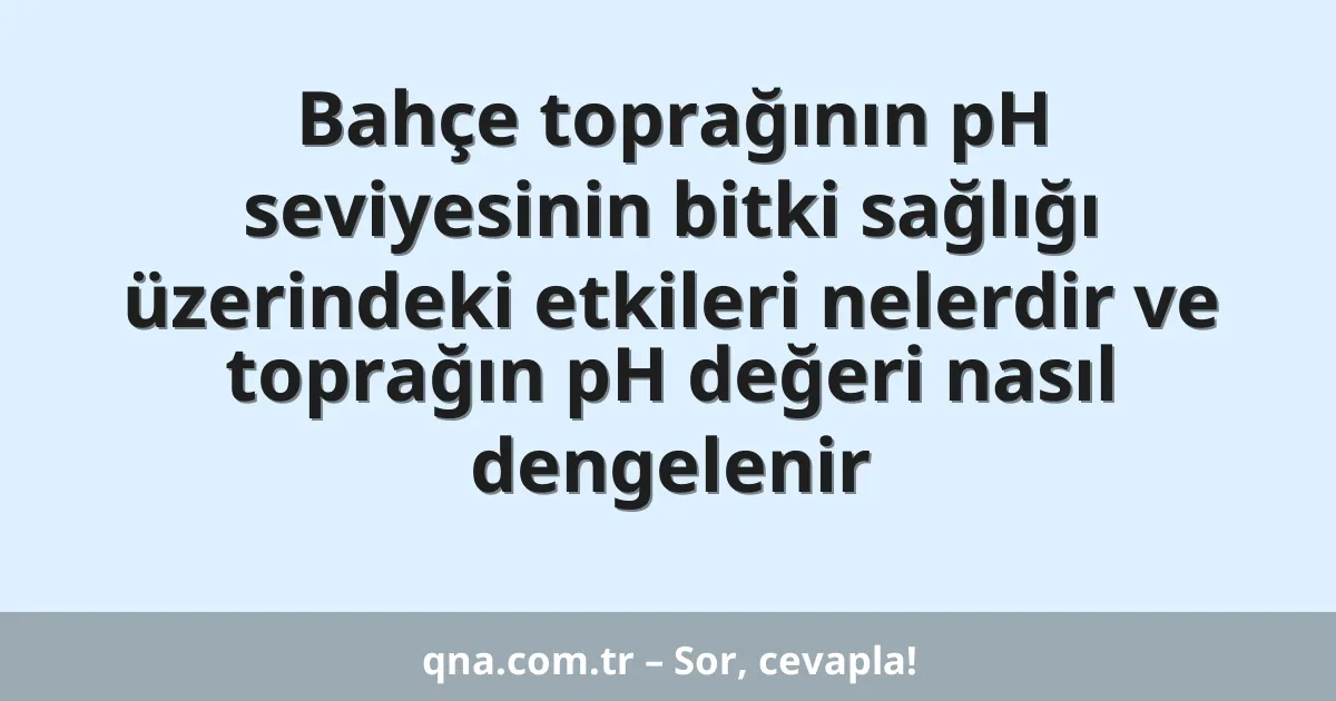 Bahçe toprağının pH seviyesinin bitki sağlığı üzerindeki etkileri nelerdir ve toprağın pH değeri nasıl dengelenir