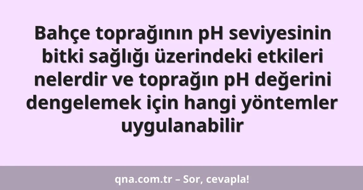 Bahçe toprağının pH seviyesinin bitki sağlığı üzerindeki etkileri nelerdir ve toprağın pH değerini dengelemek için hangi yöntemler uygulanabilir