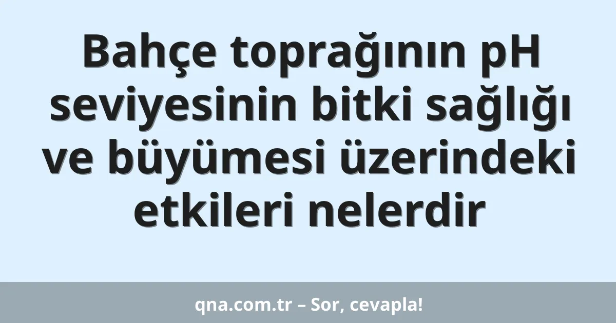 Bahçe toprağının pH seviyesinin bitki sağlığı ve büyümesi üzerindeki etkileri nelerdir