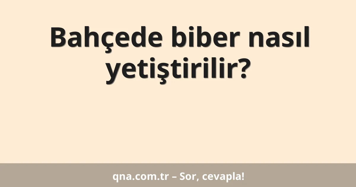 Bahçede biber nasıl yetiştirilir?