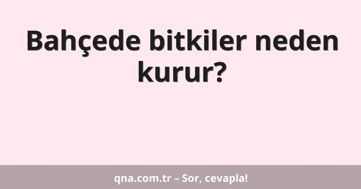 Bahçede bitkiler neden kurur?