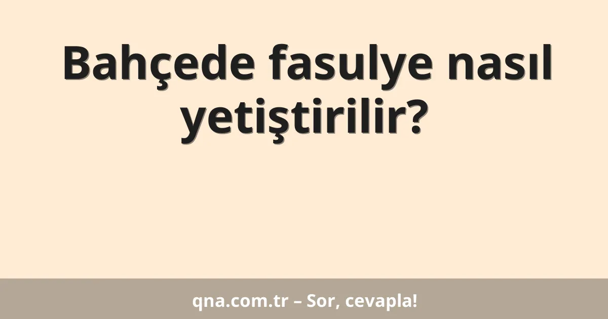 Bahçede fasulye nasıl yetiştirilir?