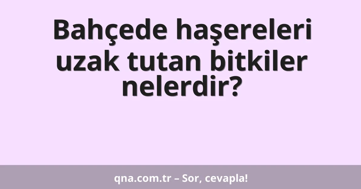 Bahçede haşereleri uzak tutan bitkiler nelerdir?