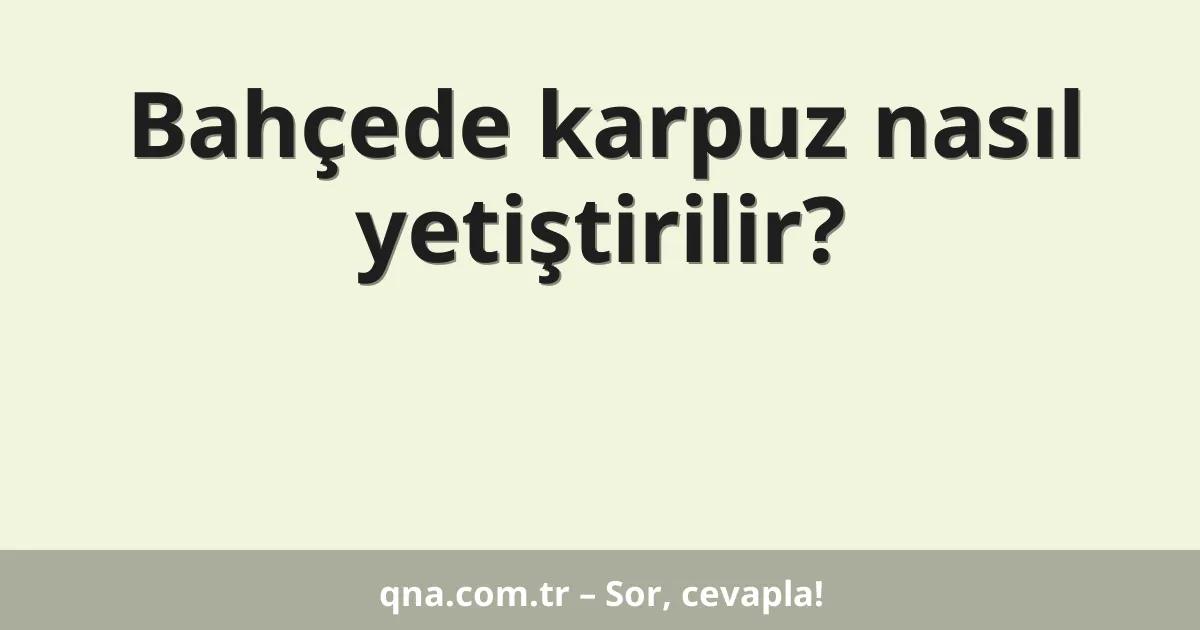 Bahçede karpuz nasıl yetiştirilir?