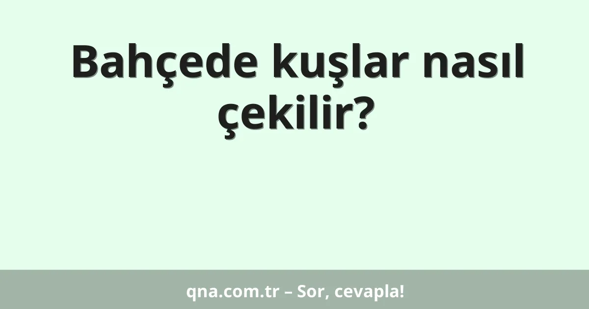 Bahçede kuşlar nasıl çekilir?