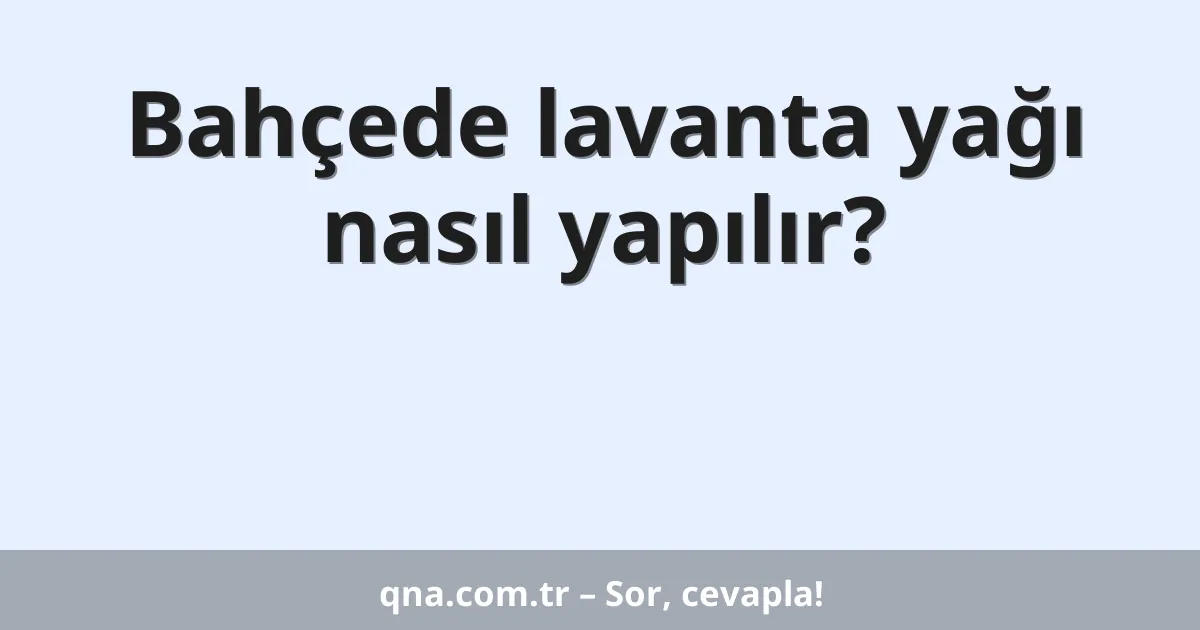 Bahçede lavanta yağı nasıl yapılır?