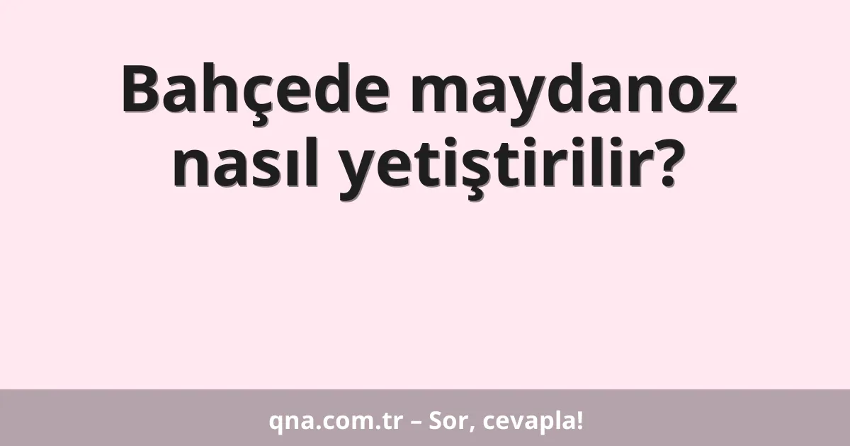 Bahçede maydanoz nasıl yetiştirilir?