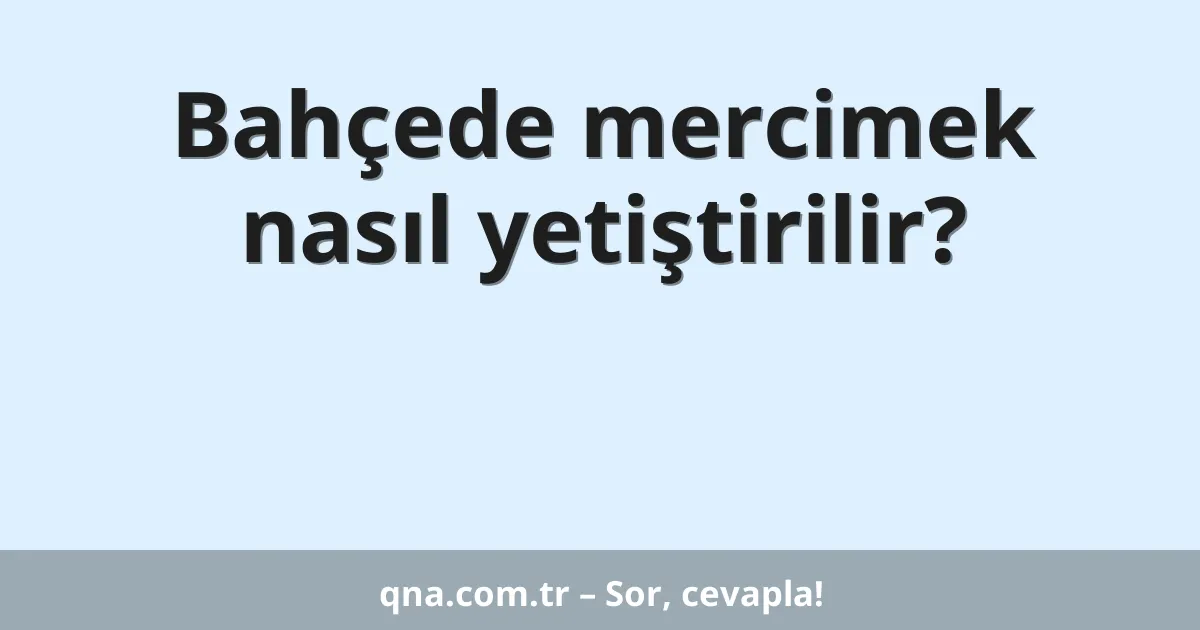 Bahçede mercimek nasıl yetiştirilir?