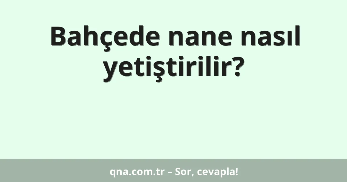 Bahçede nane nasıl yetiştirilir?