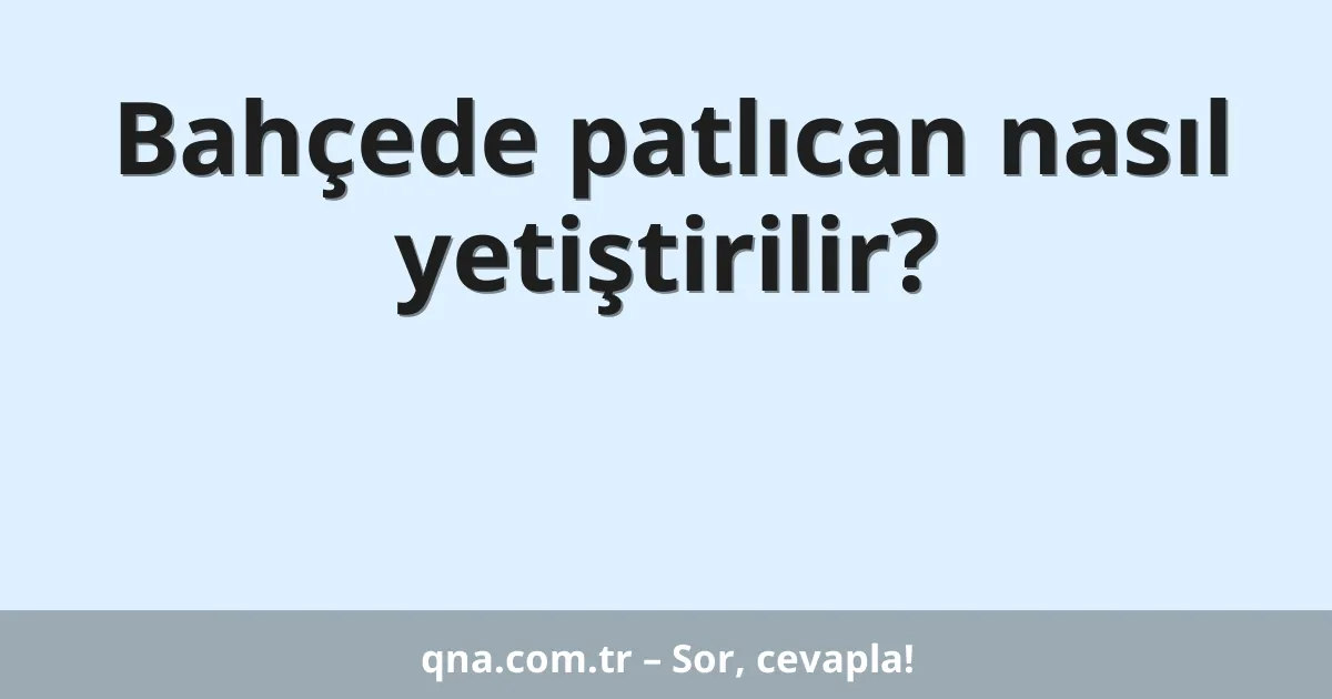 Bahçede patlıcan nasıl yetiştirilir?