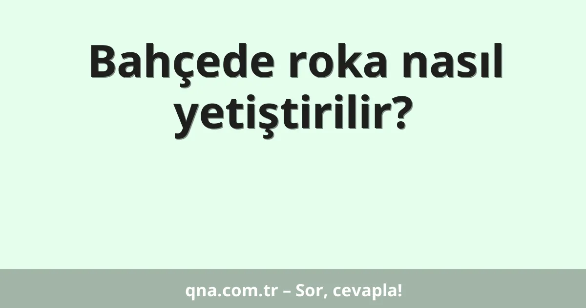 Bahçede roka nasıl yetiştirilir?