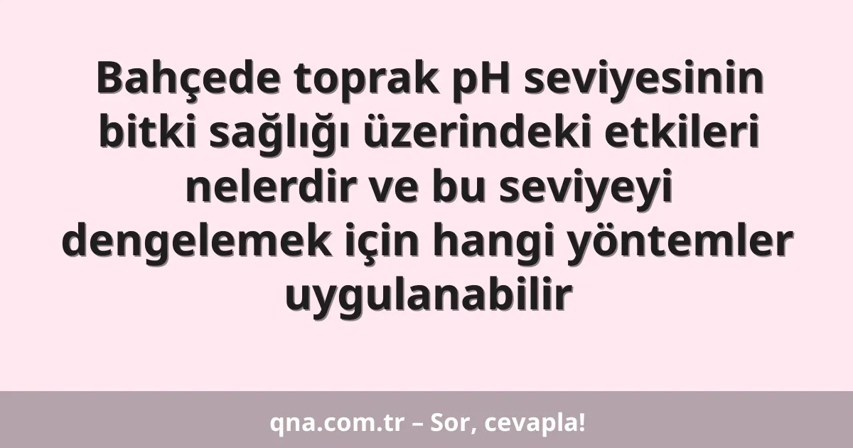 Bahçede toprak pH seviyesinin bitki sağlığı üzerindeki etkileri nelerdir ve bu seviyeyi dengelemek için hangi yöntemler uygulanabilir