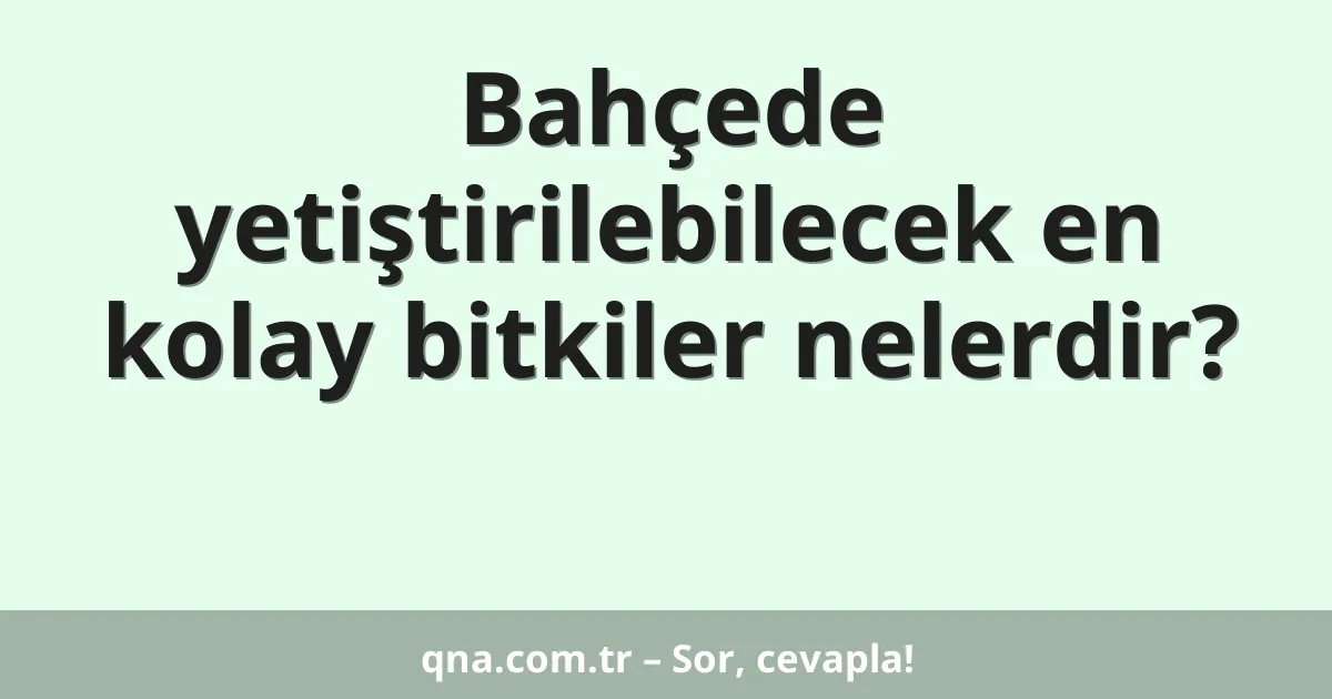 Bahçede yetiştirilebilecek en kolay bitkiler nelerdir?