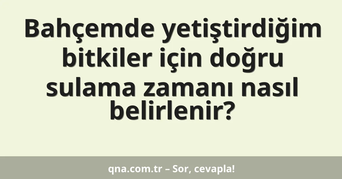 Bahçemde yetiştirdiğim bitkiler için doğru sulama zamanı nasıl belirlenir?
