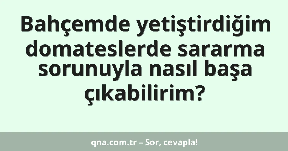 Bahçemde yetiştirdiğim domateslerde sararma sorunuyla nasıl başa çıkabilirim?