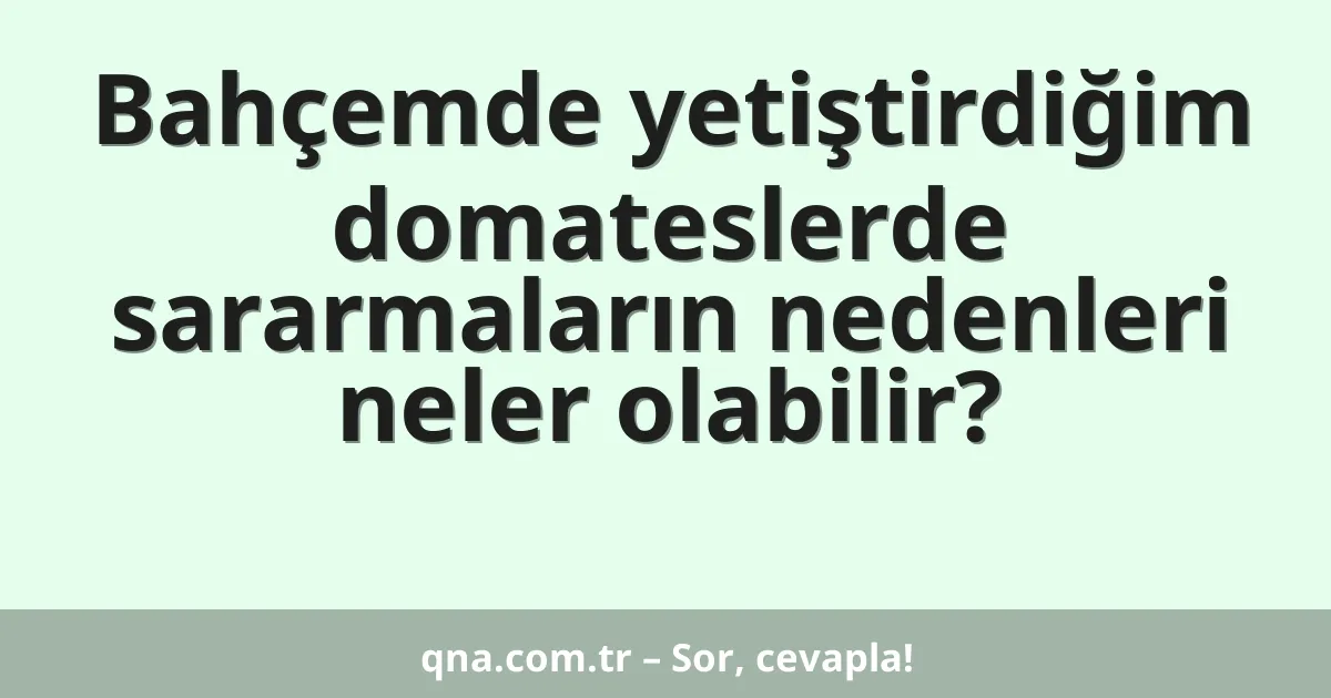 Bahçemde yetiştirdiğim domateslerde sararmaların nedenleri neler olabilir?