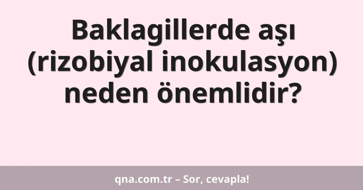 Baklagillerde aşı (rizobiyal inokulasyon) neden önemlidir?