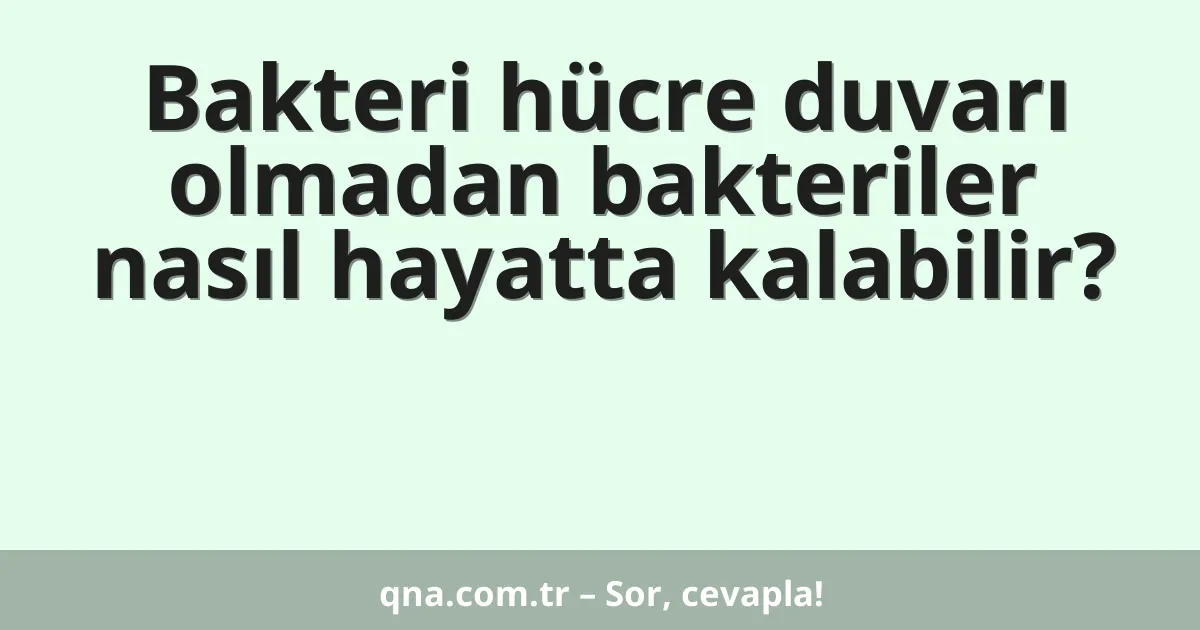 Bakteri hücre duvarı olmadan bakteriler nasıl hayatta kalabilir?