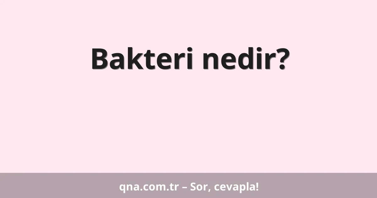 Bakteri nedir?
