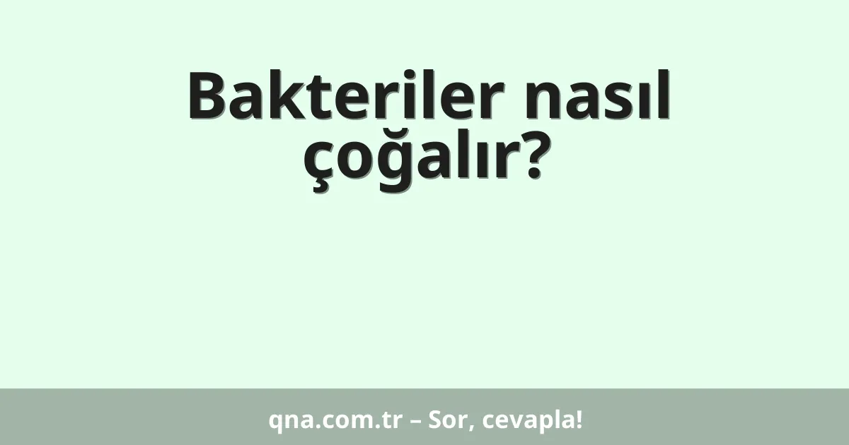 Bakteriler nasıl çoğalır?