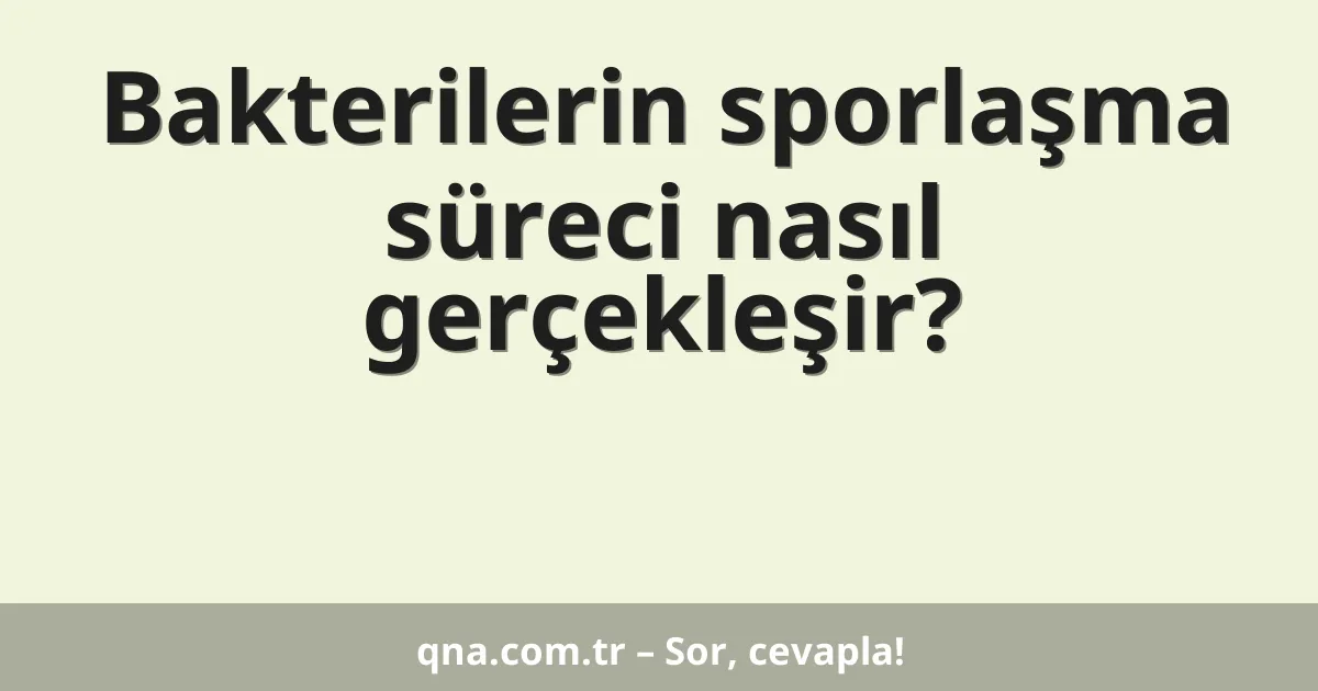 Bakterilerin sporlaşma süreci nasıl gerçekleşir?