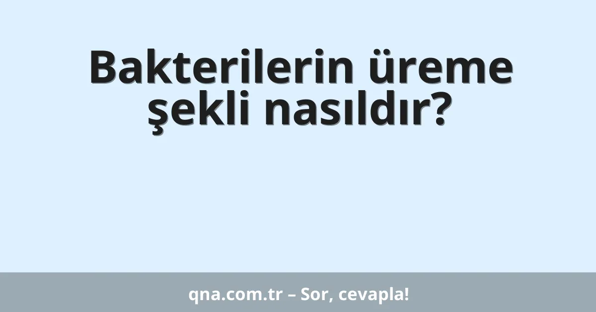 Bakterilerin üreme şekli nasıldır?