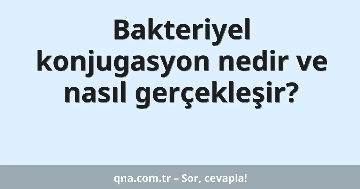 Bakteriyel konjugasyon nedir ve nasıl gerçekleşir?