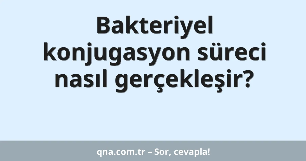 Bakteriyel konjugasyon süreci nasıl gerçekleşir?