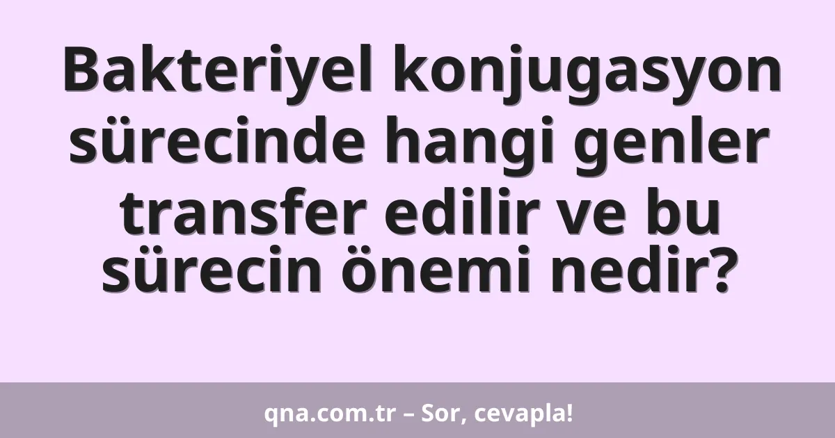 Bakteriyel konjugasyon sürecinde hangi genler transfer edilir ve bu sürecin önemi nedir?