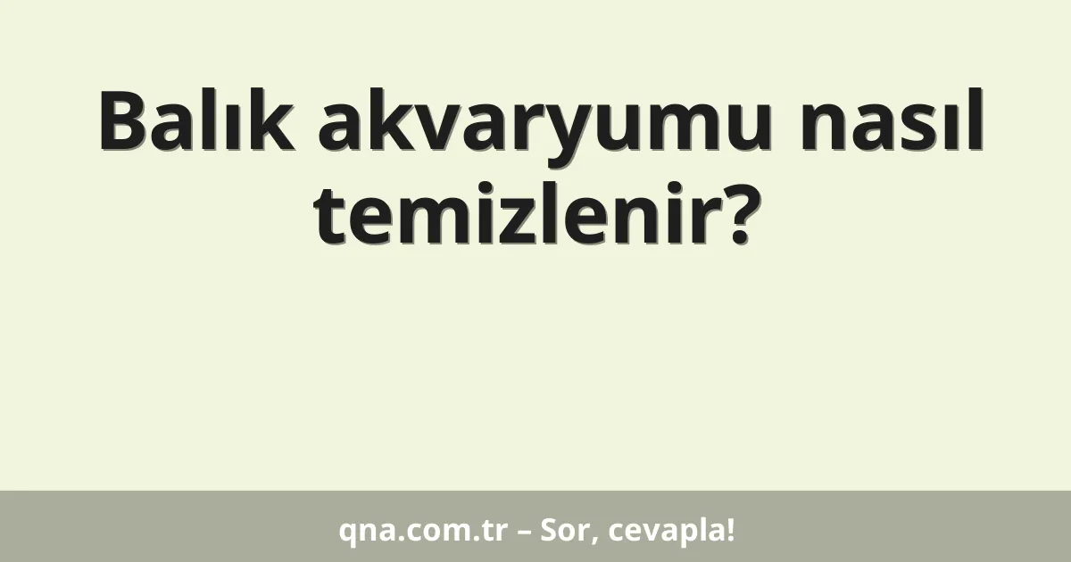 Balık akvaryumu nasıl temizlenir?