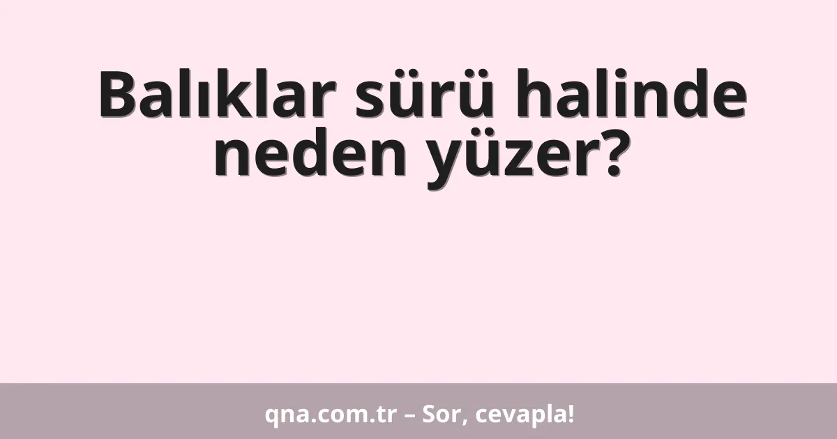 Balıklar sürü halinde neden yüzer?