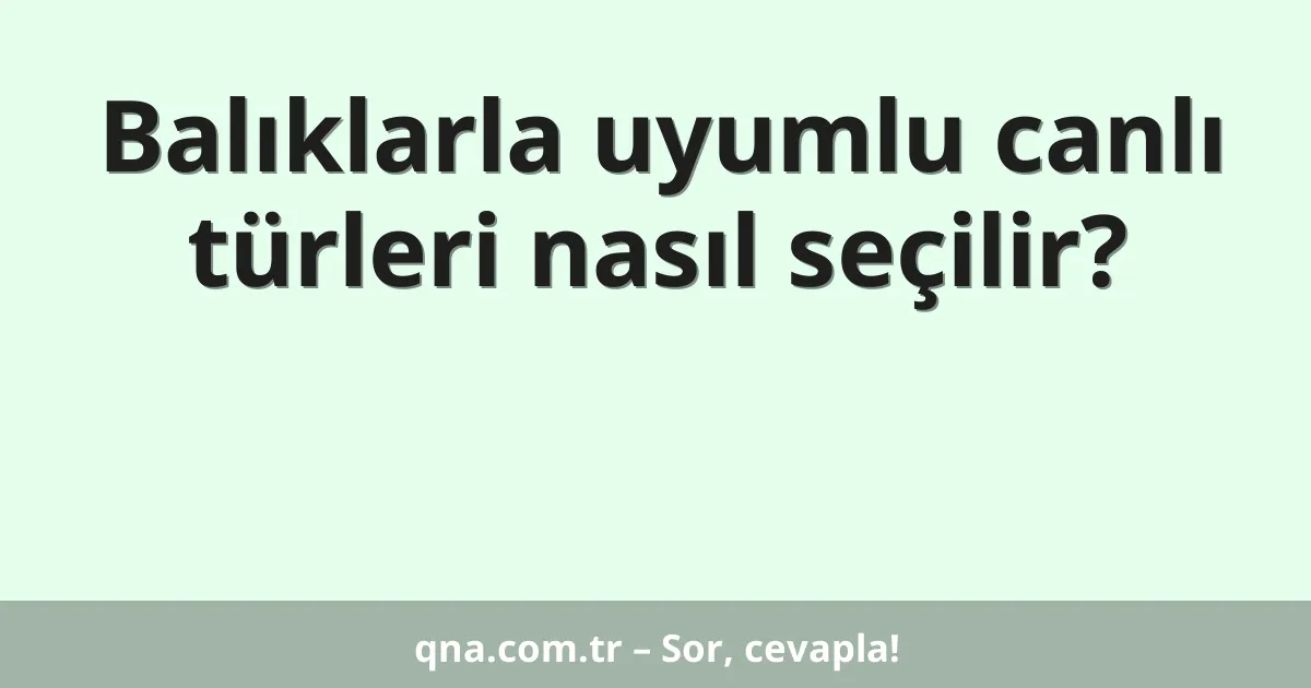 Balıklarla uyumlu canlı türleri nasıl seçilir?