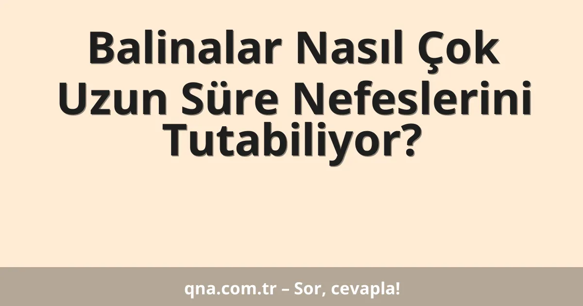 Balinalar Nasıl Çok Uzun Süre Nefeslerini Tutabiliyor?