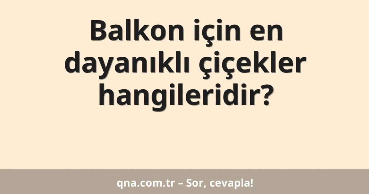 Balkon için en dayanıklı çiçekler hangileridir?